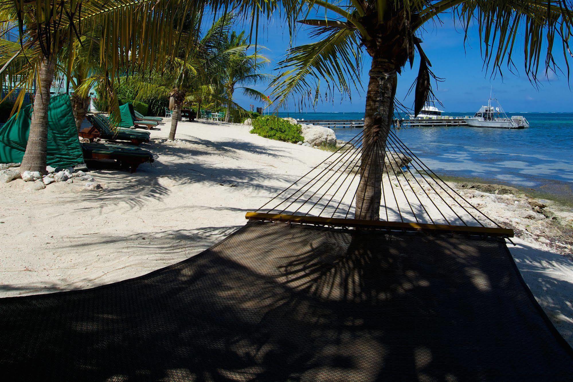 Compass Point Dive Resort Gun Bay Dış mekan fotoğraf